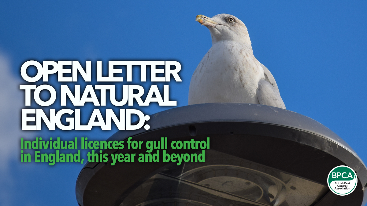 open-letter-to-natural-england-gull-licences open-letter-to-natural-england-gull-licences